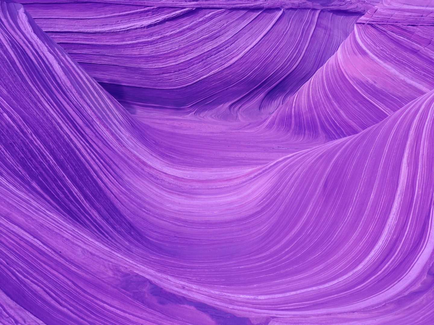 Desert landscape photograph of The Wave at Coyote Buttes with altered textures and a purple color tint, by David Benjamin Sherry
