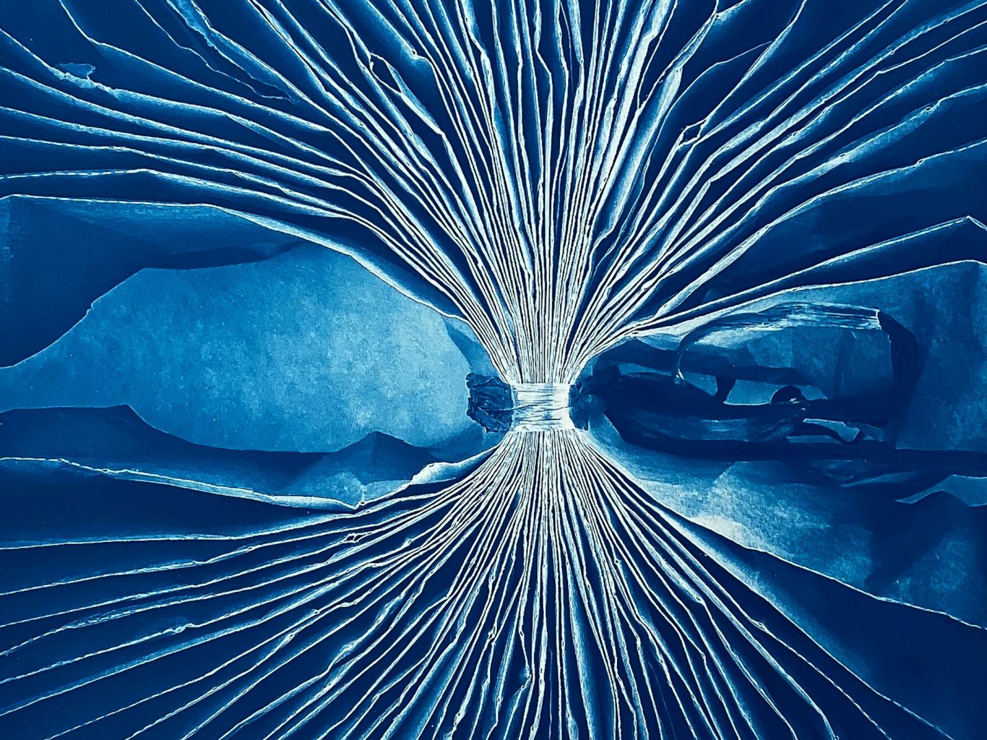 Photographic artwork or print sample by Diana Bloomfield, showcasing alternative photographic printing techniques in a workshop context.