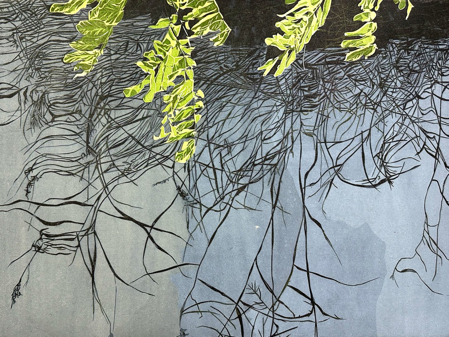 Monotype and woodcut printmaking workshop featuring layered color, transparency, and nature-inspired imagery