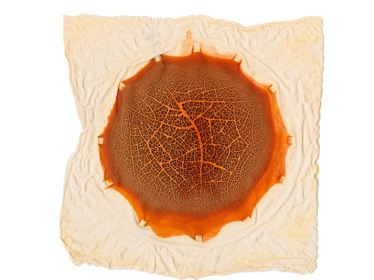 sustainable watercolor summer workshop using natural pigments cultivated from nature