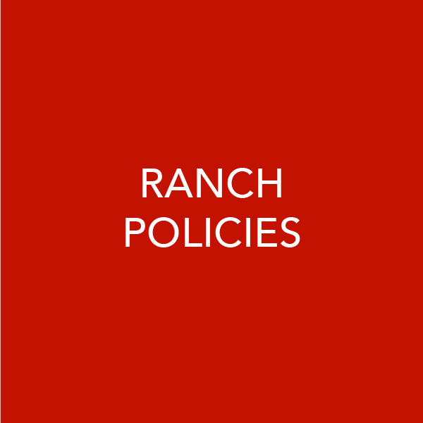 Student Info Tiles.NEW4